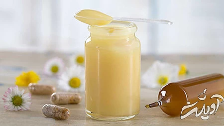 خواص ژل رویال ژل رویال, ژل رویال چیست, خواص ژل رویال